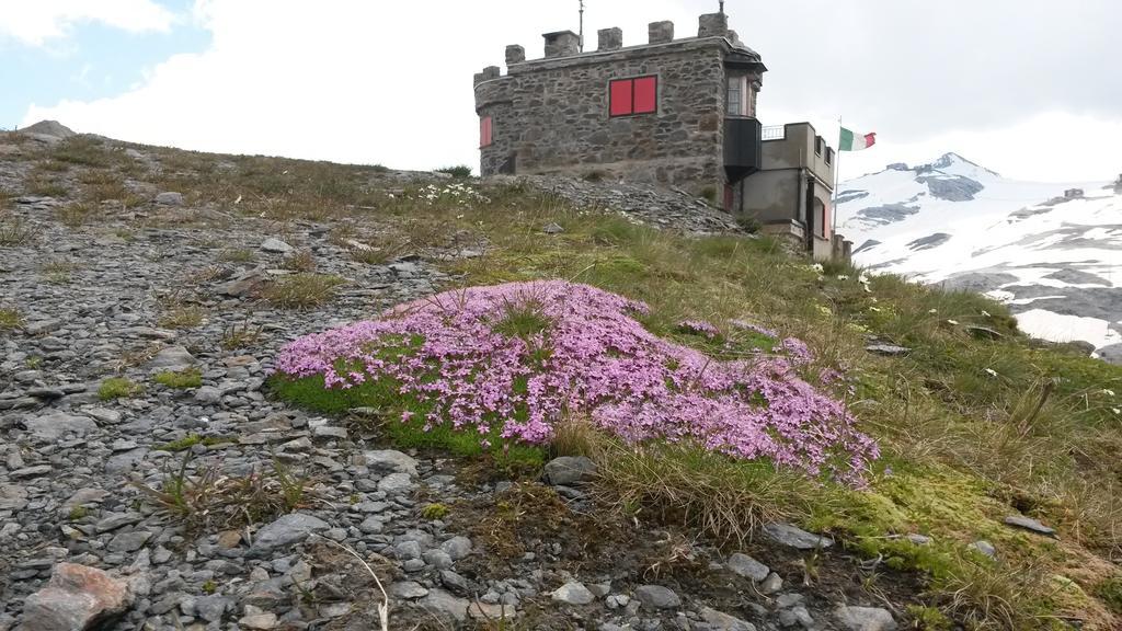 Rifugio Garibaldi Hotel Passo Stelvio Bagian luar foto